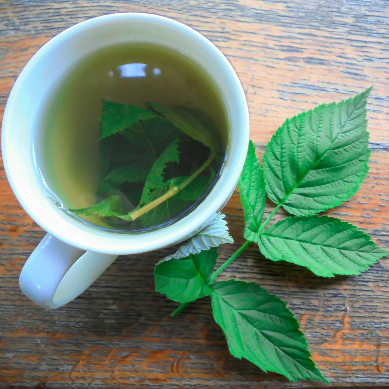 raspberry leaf tea benefits female