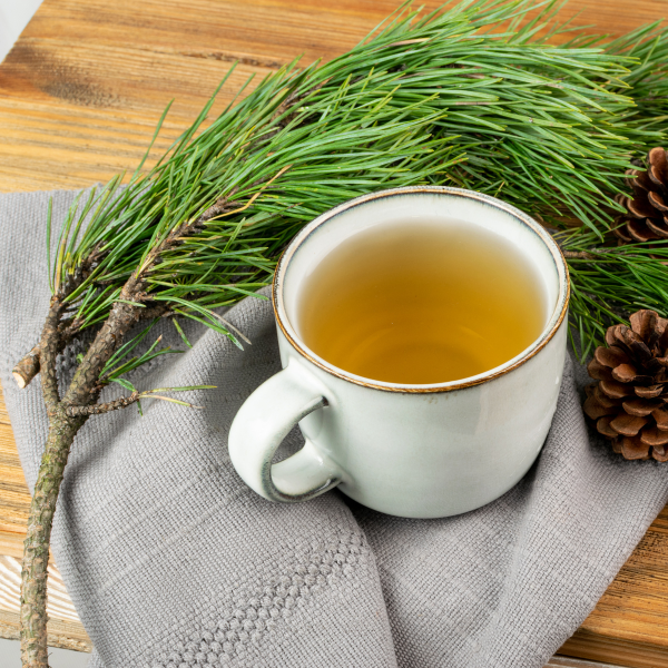 benefits of pine needle tea