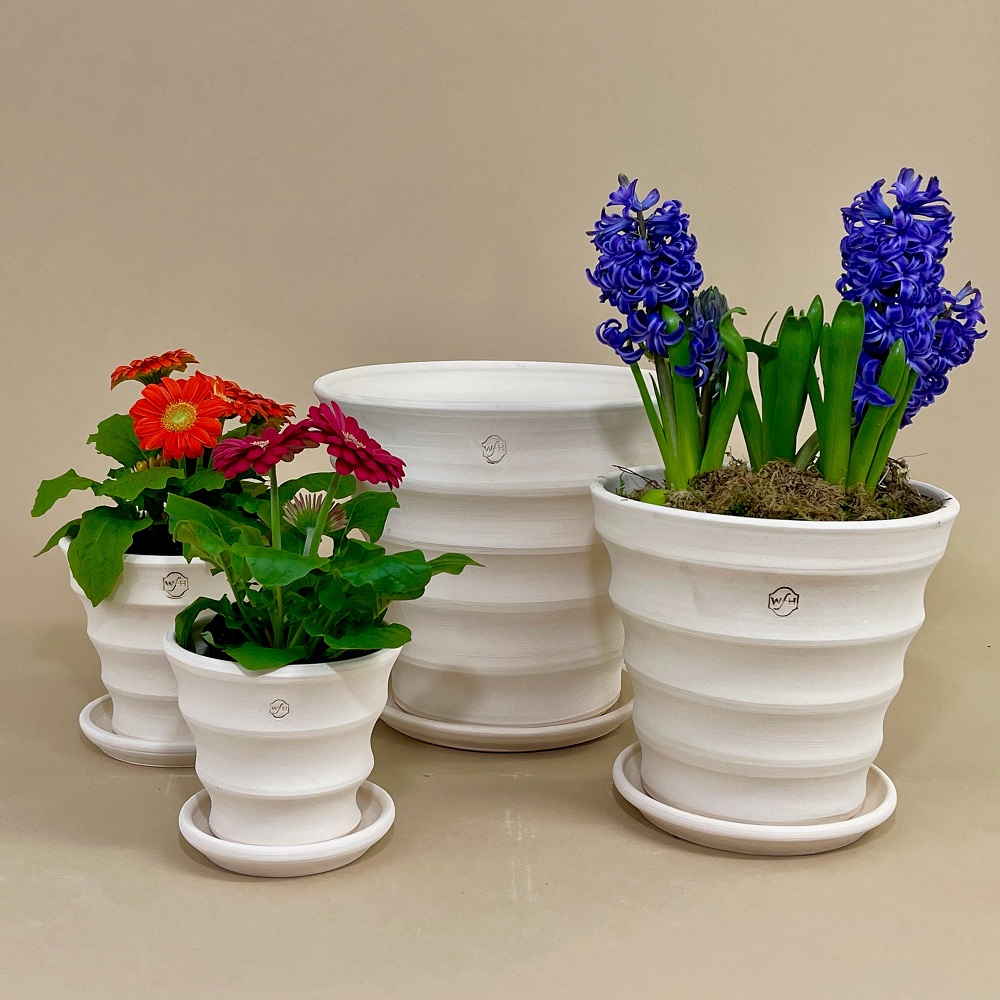 DIY Flower Pots: Simple Steps for Beginners