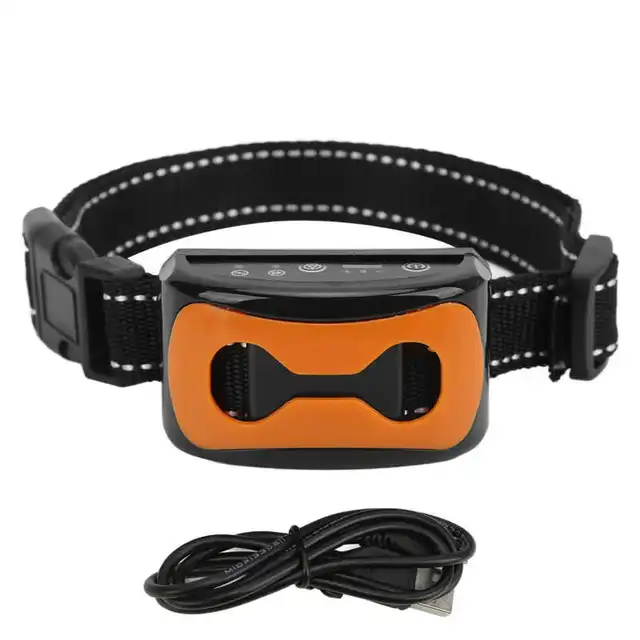 Effective Dog Training: Is an E-Collar Right for Your Pet?