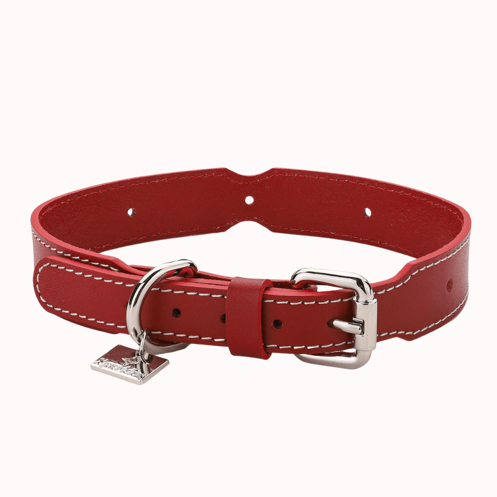 Stylish Dog Collar PNG Designs for Pet Brands