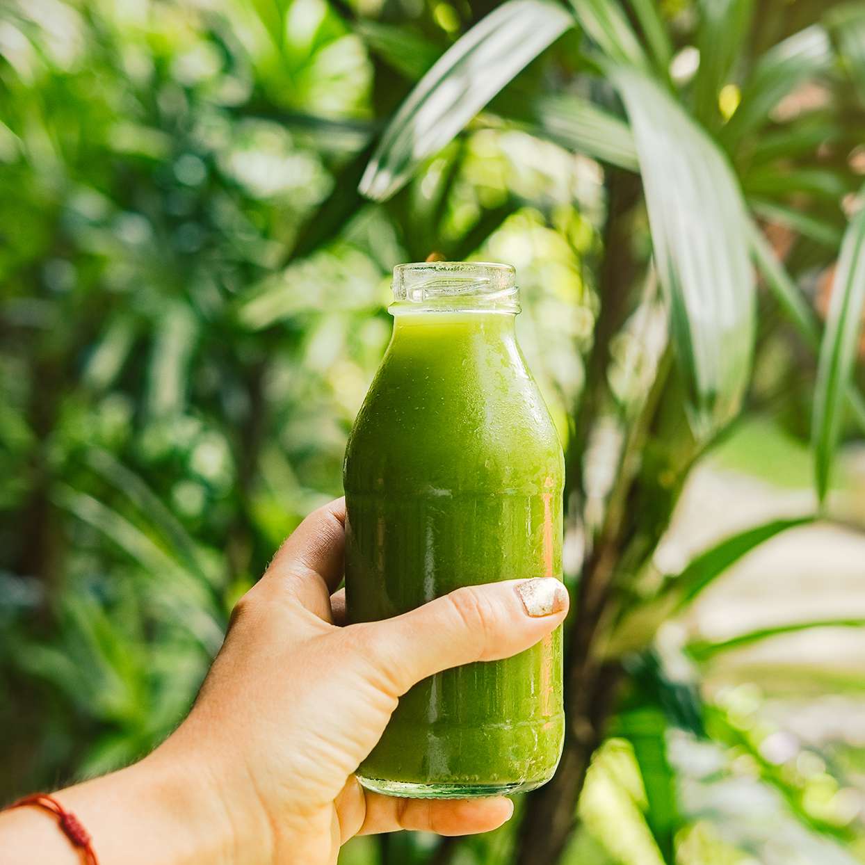 Best Juicer Recipes for Weight Loss