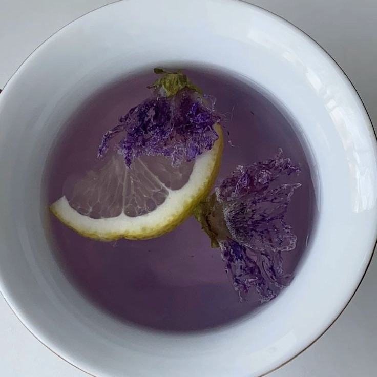 antioxidants in purple tea