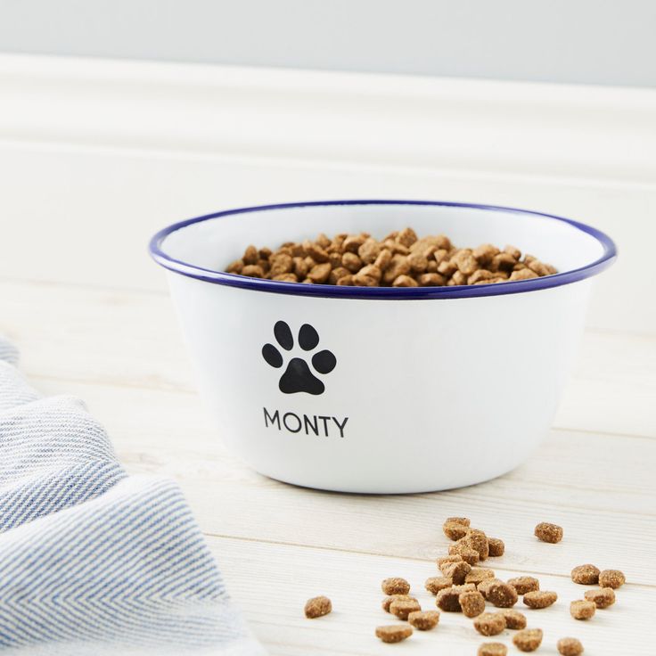 Personalized Cat Bowls: Stylish Feeding for Feline Friends