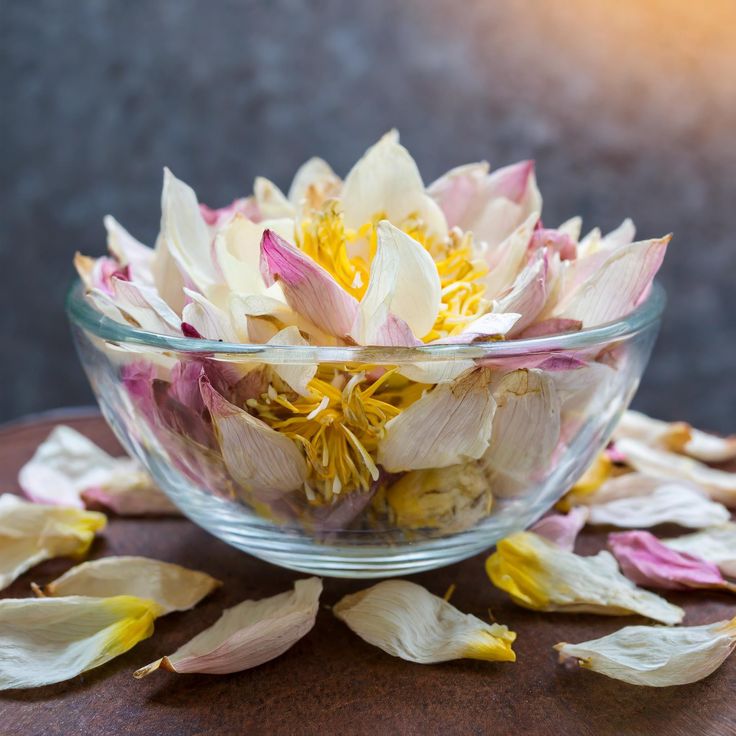 lotus flower tea benefits