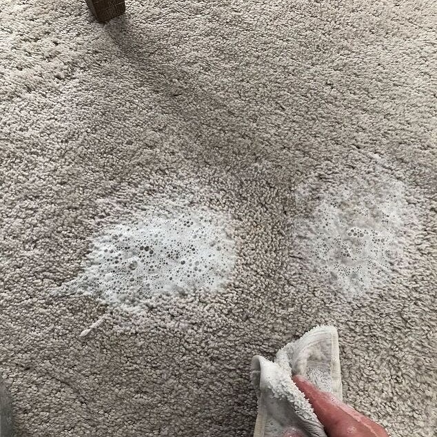 natural ways to clean vomit from carpet