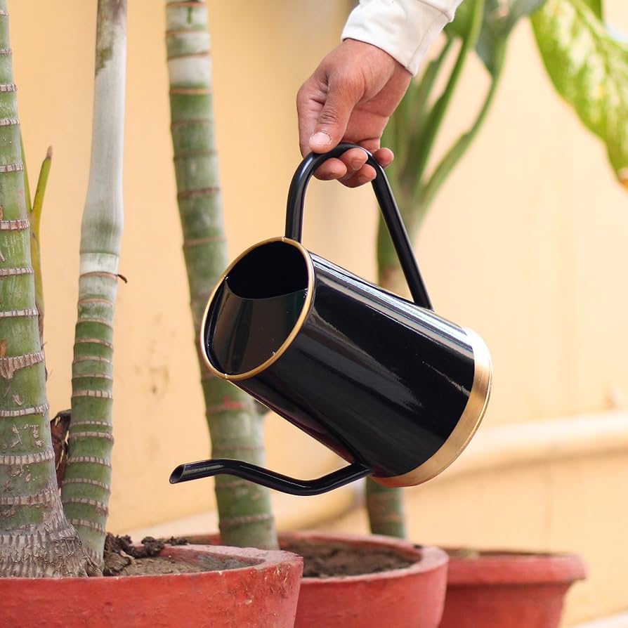 A Rewarding Hobby: Antique Watering Can Collectors Guide