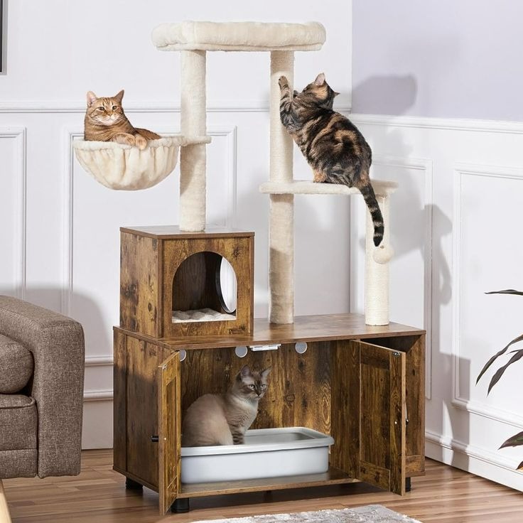 cat tree