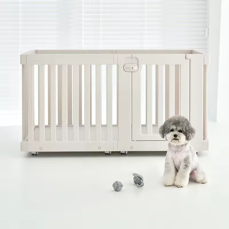incubation period for kennel cough