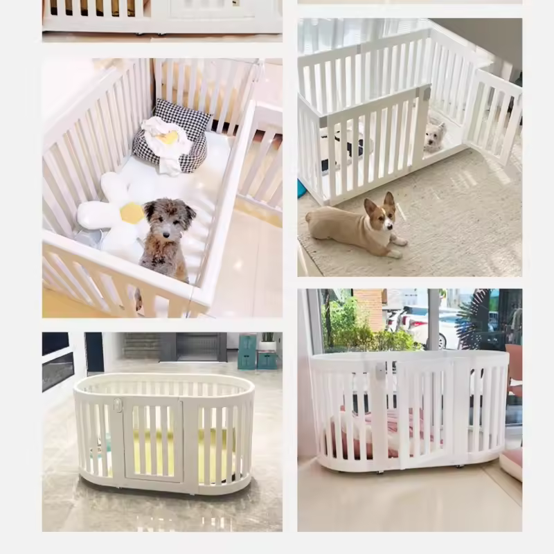 Understanding the Incubation Period for Kennel Cough in 2025