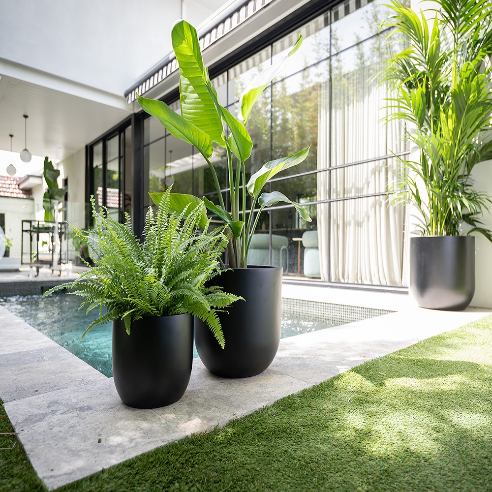 Innovative Flower Pot Arrangements for Poolside Ambiance