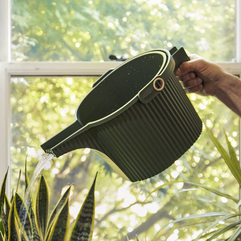 Transform Your Garden: The Creative Watering Can Planter Ideas
