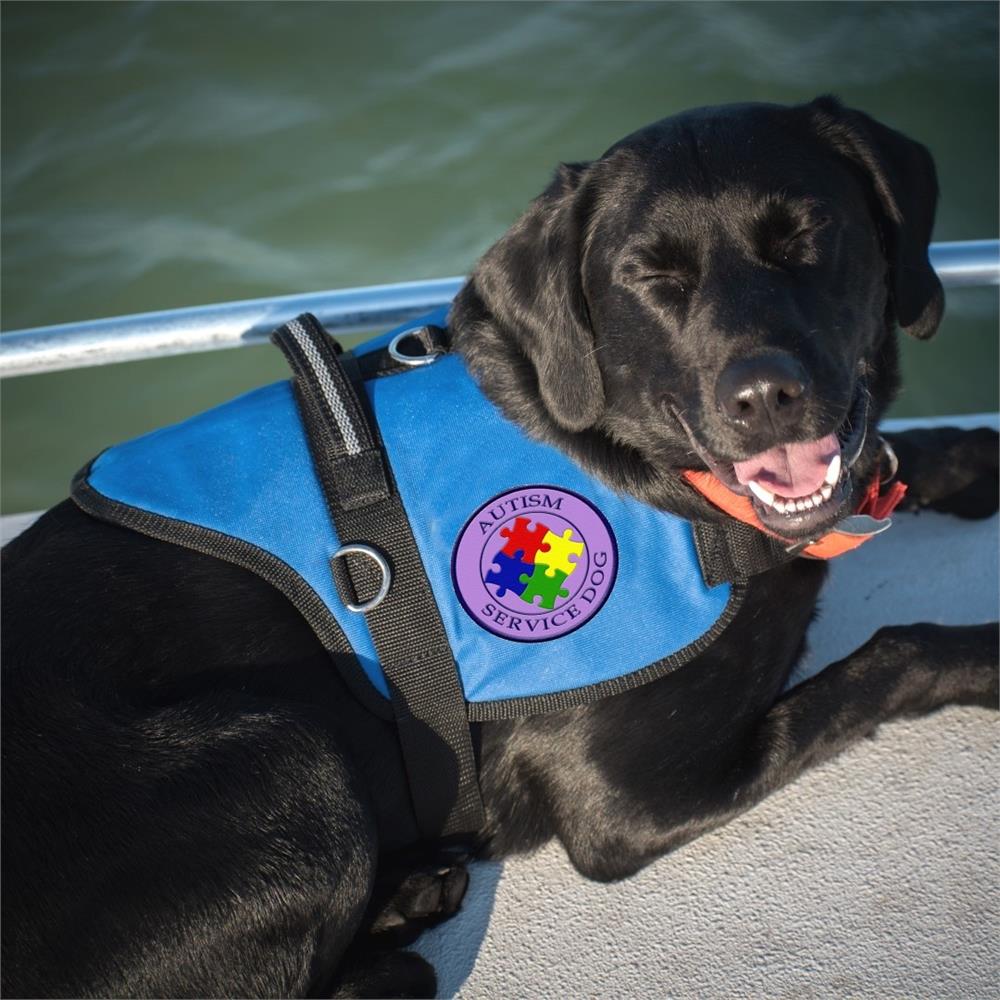 The Ultima Guide to Choose the Right Service Dog Harness