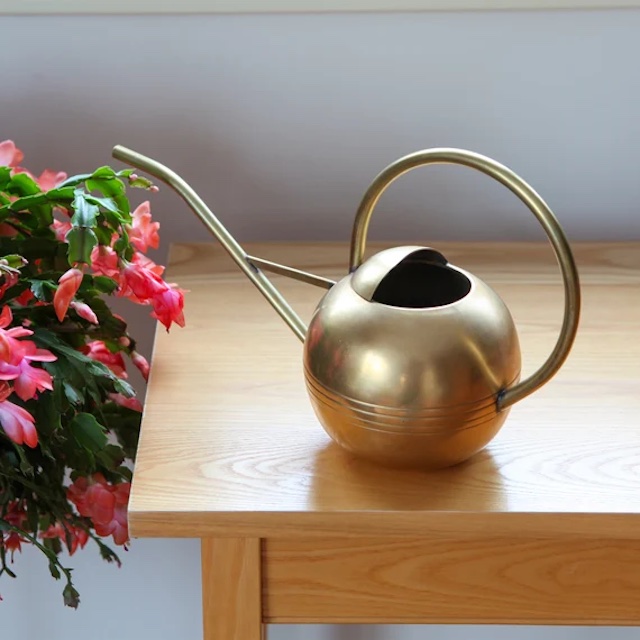 Mastering Plant Care Tips: Small Watering Can for Indoor Plants