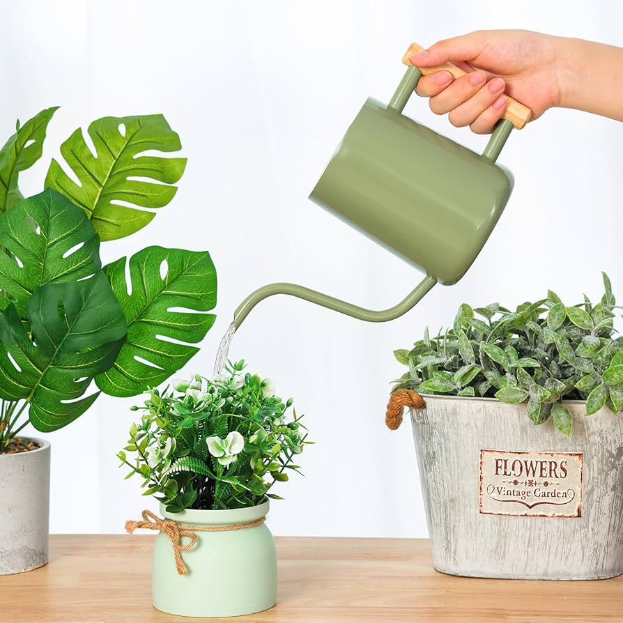 best watering can for indoor plants