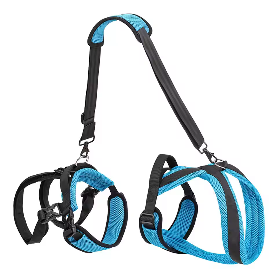 big dog harness