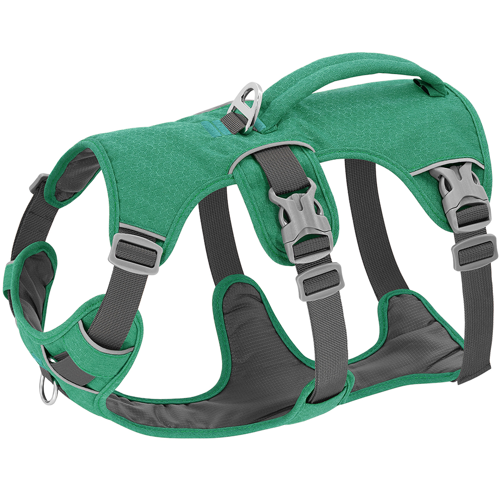 Guide to Choose the Best Tactical Dog Harness in New Year