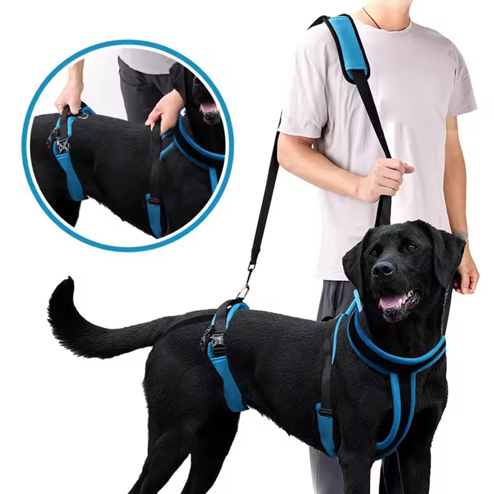 big dog harness