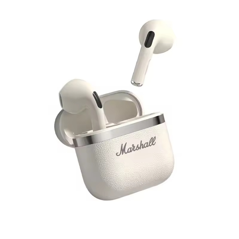Marshall earphones have made a bold statement in the market.