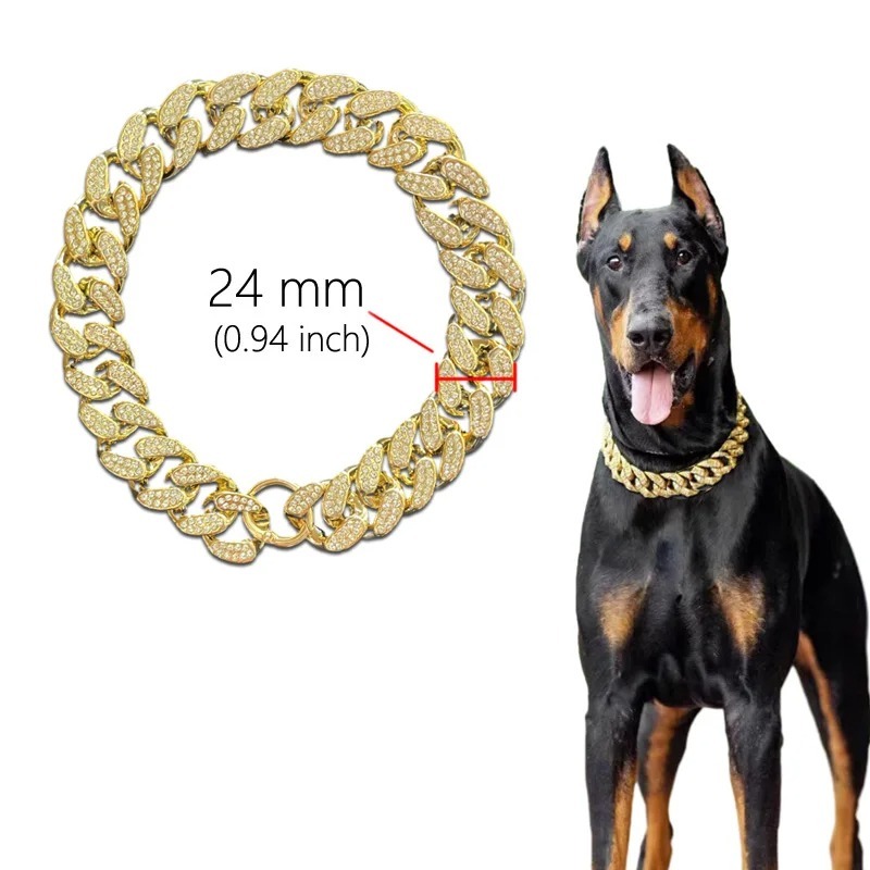 Gorgeous gold diamond - studded dog collar