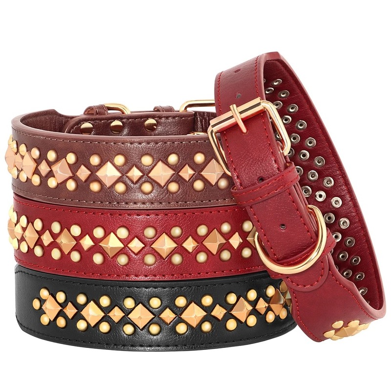 Multi - colored rivet fancy dog collars