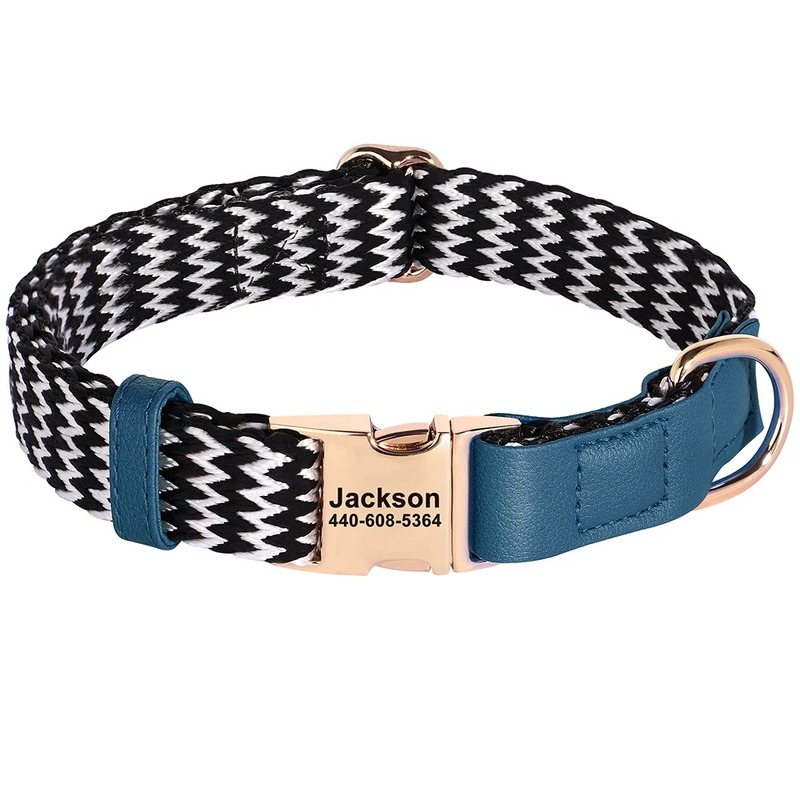 Houndstooth collar with blue trim