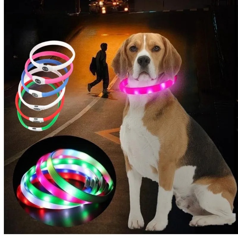 Beagle and colorful glowing collars