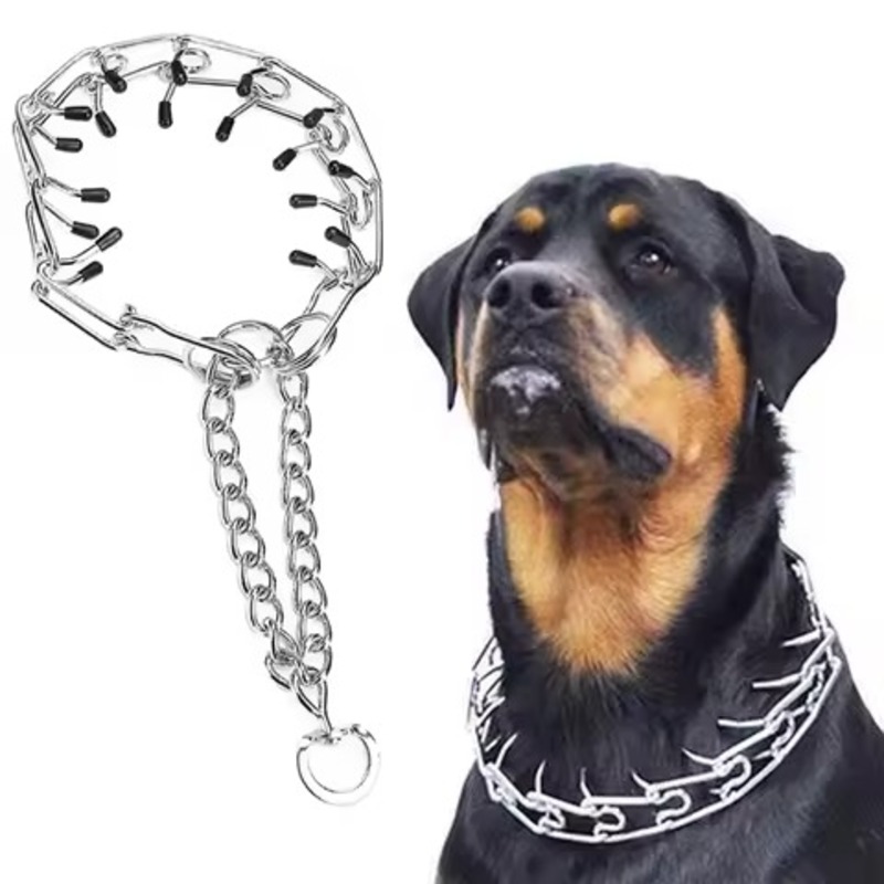 How to Properly Use Prong Dog Collars for Training