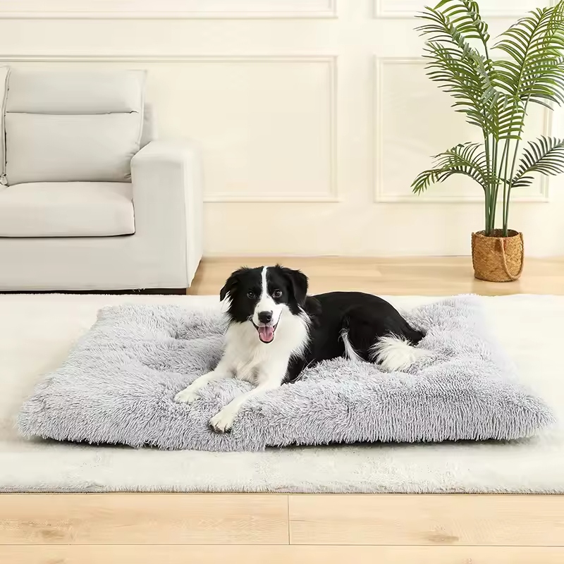 Dogs, like humans, need proper rest for their health. A good dog bed provides your pet with a dedicated space to relax and sleep.