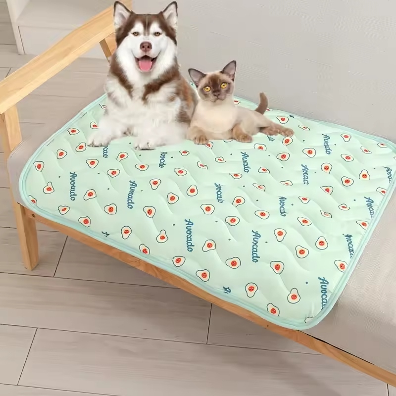 Dogs, like humans, need proper rest for their health. A good dog bed provides your pet with a dedicated space to relax and sleep.
