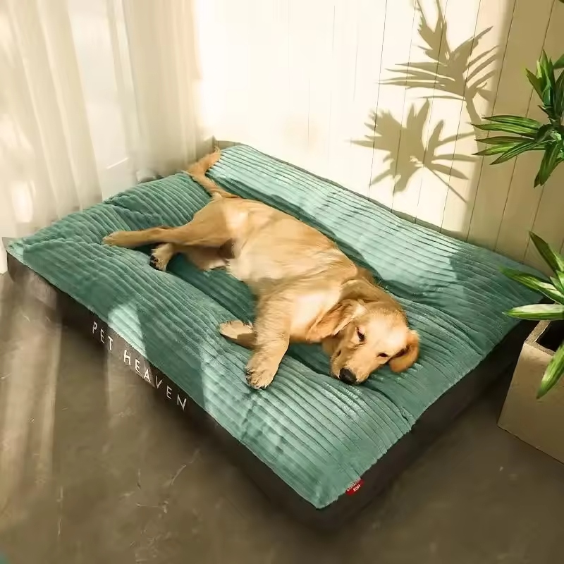 Dog couch beds offer numerous advantages for your furry friend.