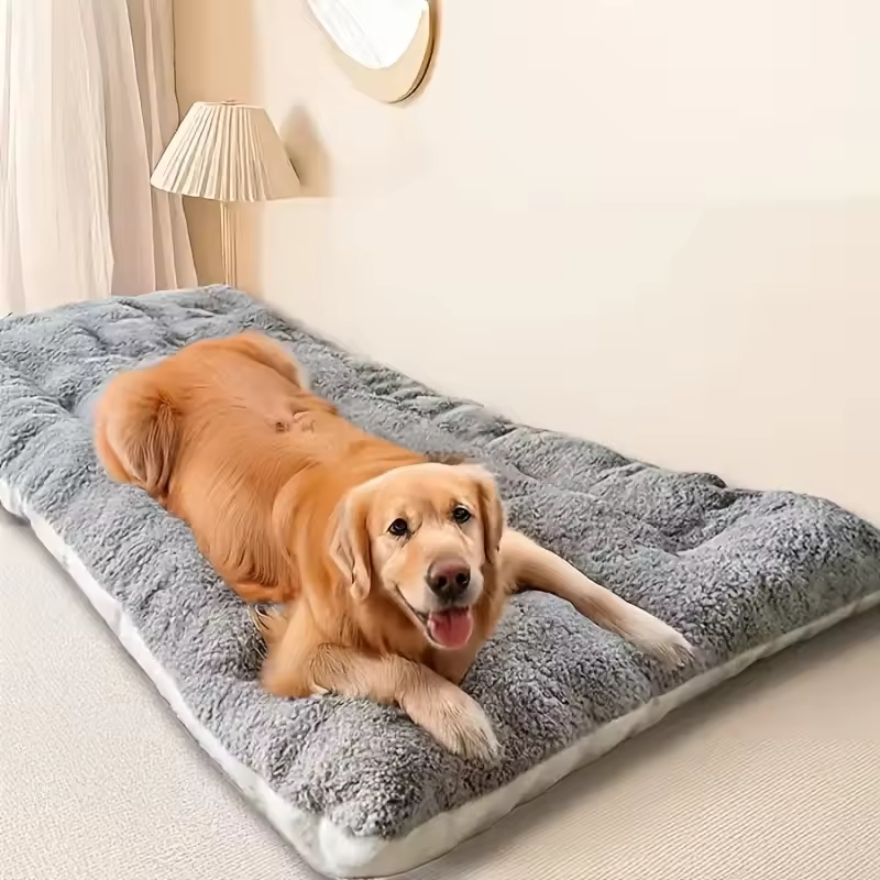 When choosing an XL dog bed, size is a critical factor.
