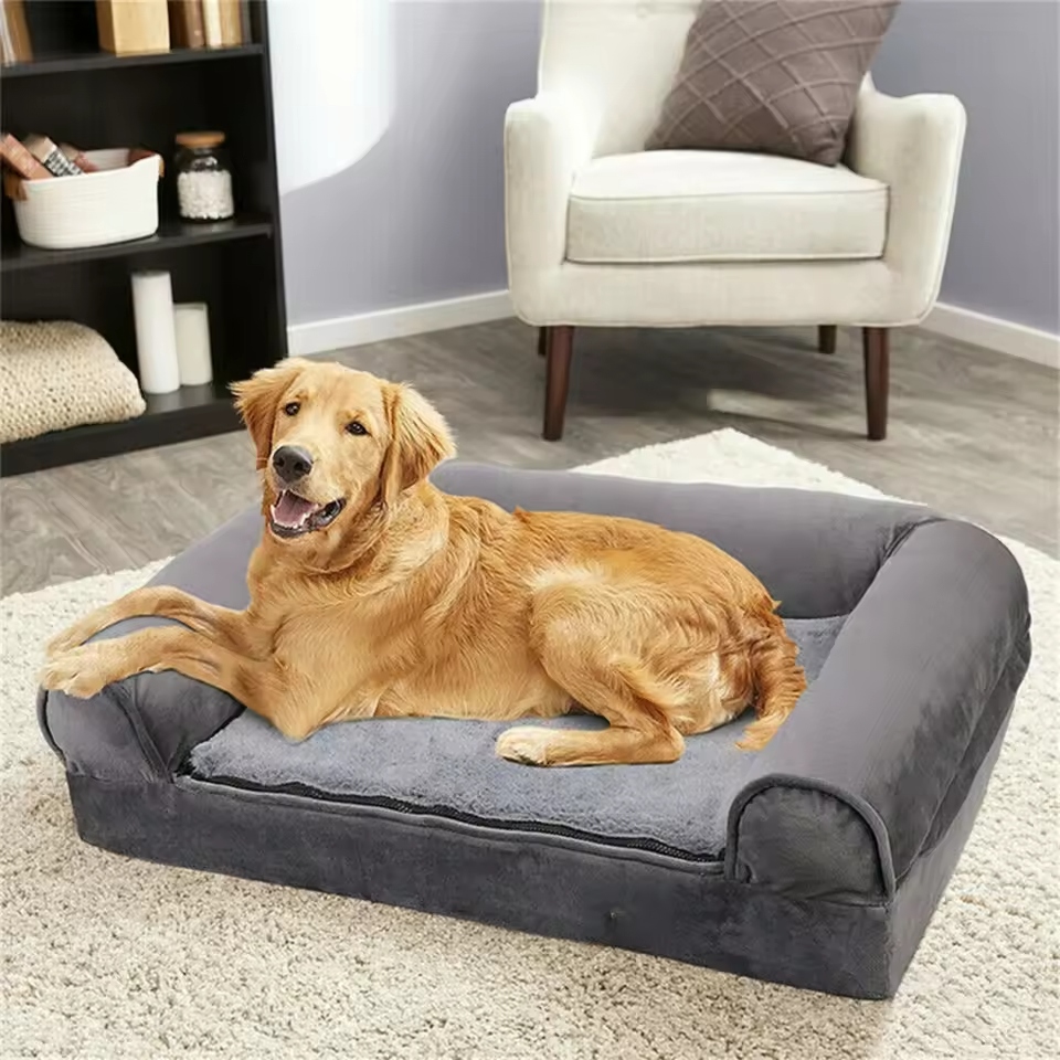 Orthopedic dog beds are designed to offer extra comfort and support for dogs.