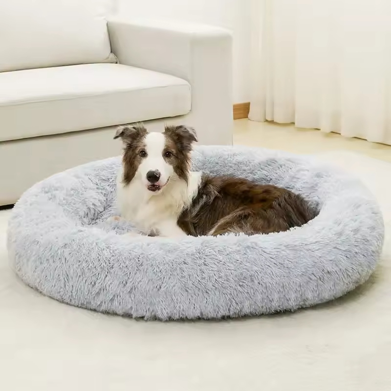 Dog couch beds offer numerous advantages for your furry friend.