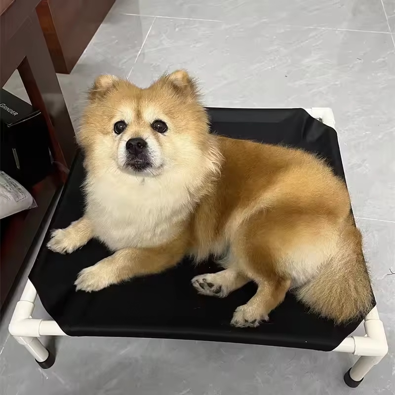 A raised dog bed is elevated above the ground. It is designed for better support and comfort.