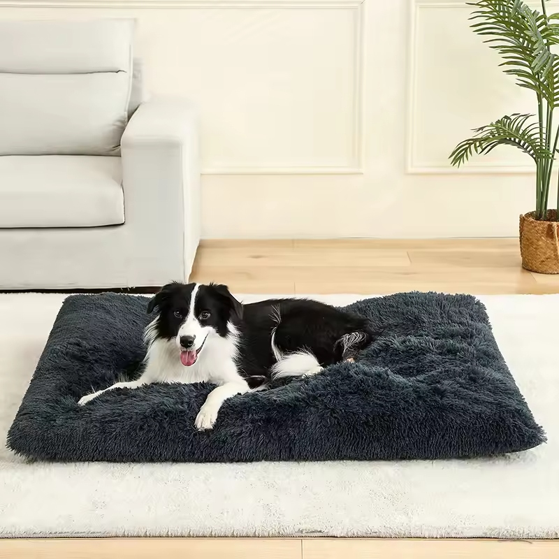 Dogs, like humans, need proper rest for their health. A good dog bed provides your pet with a dedicated space to relax and sleep.