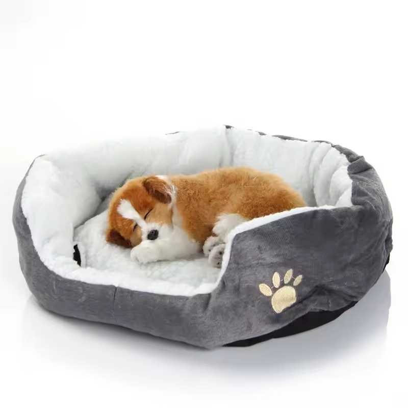Choosing the right dog bed is essential for your pet's comfort and well-being.