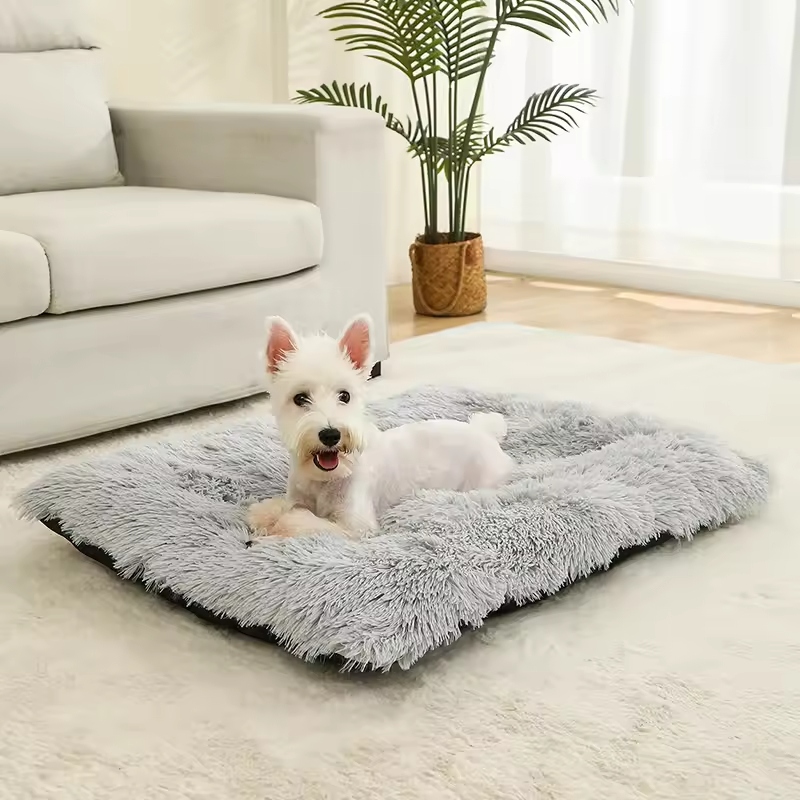 Dogs, like humans, need proper rest for their health. A good dog bed provides your pet with a dedicated space to relax and sleep.