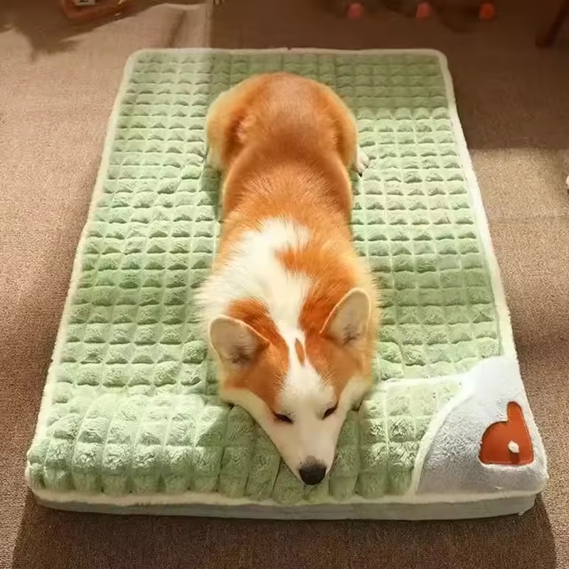 Orthopedic dog beds are designed to offer extra comfort and support for dogs.