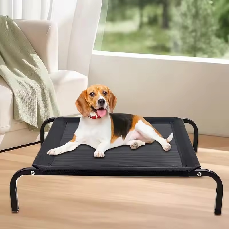 A raised dog bed is elevated above the ground. It is designed for better support and comfort.