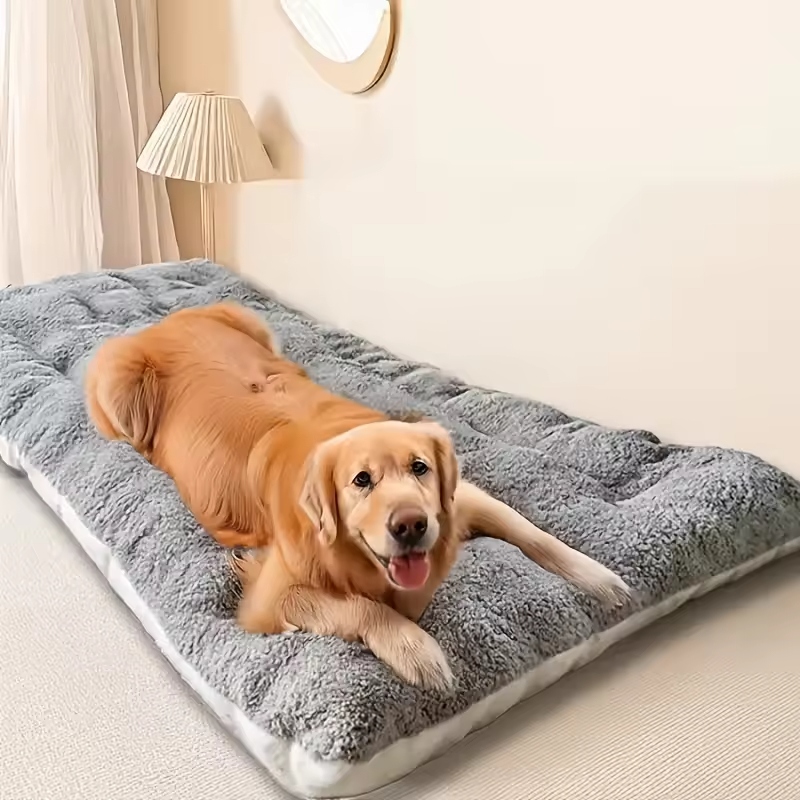 Large dog beds are specially designed to meet the needs of bigger breeds.