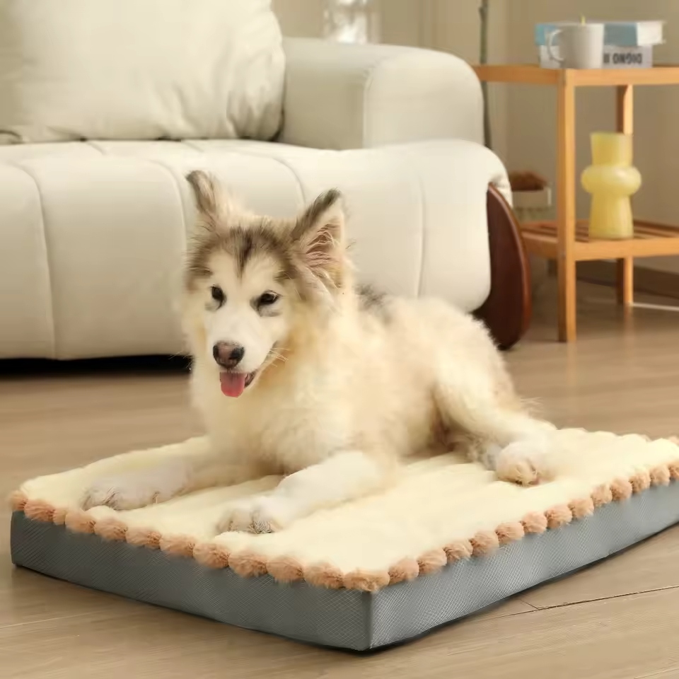 A memory foam dog bed is designed to provide superior comfort for your pet.
