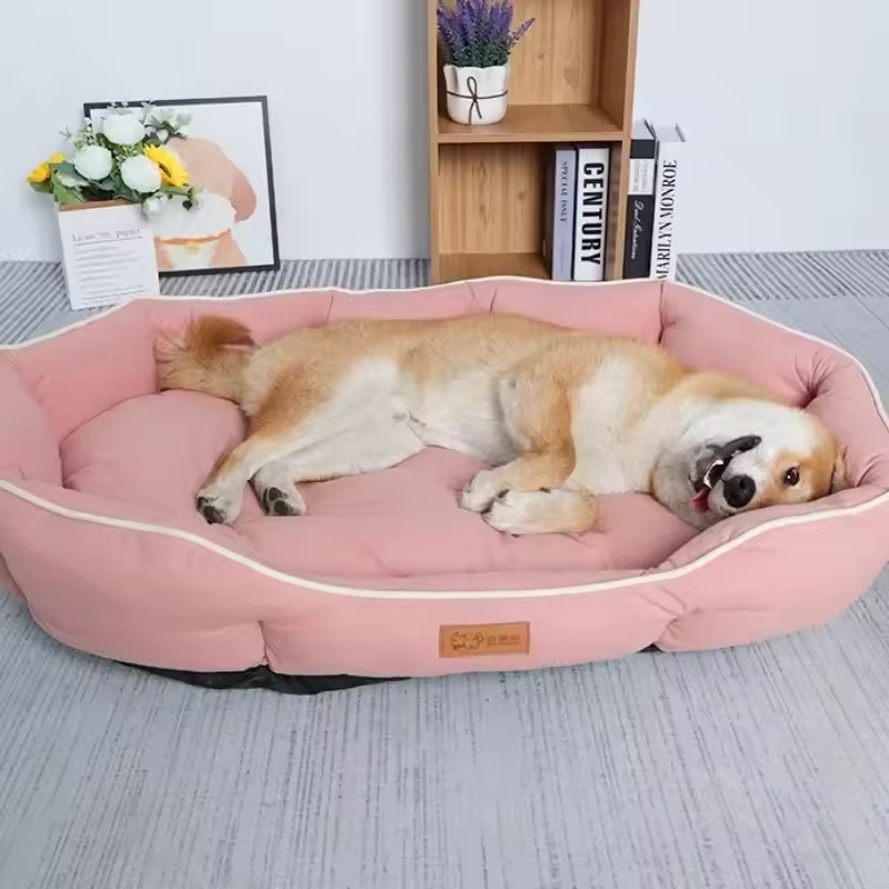 Large dog beds are specially designed to meet the needs of bigger breeds.