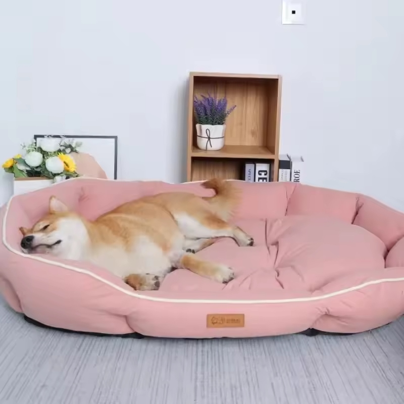 Large dog beds are specially designed to meet the needs of bigger breeds.