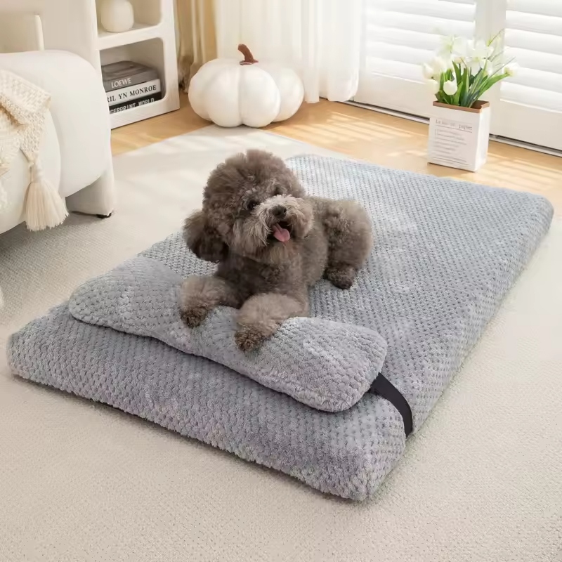 Understanding anxiety in dogs helps us manage their emotional health effectively.