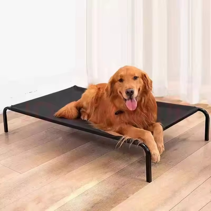 An elevated dog bed is a type of pet bed raised above the ground.