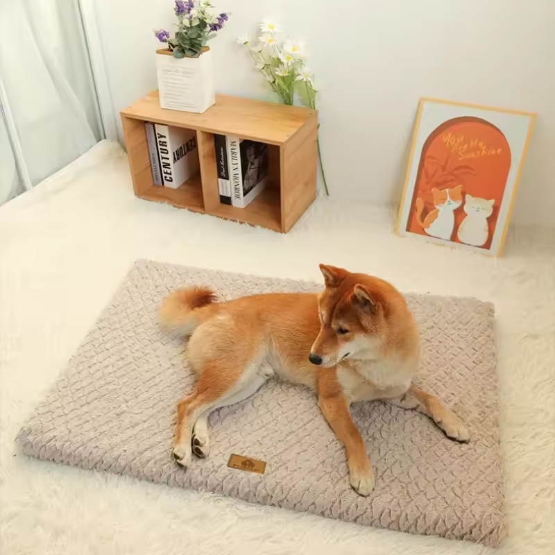Washable dog beds offer numerous advantages for pet owners and their furry companions.