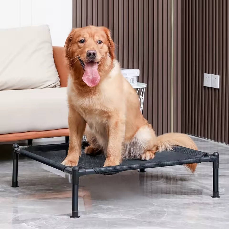 A raised dog bed is elevated above the ground. It is designed for better support and comfort.