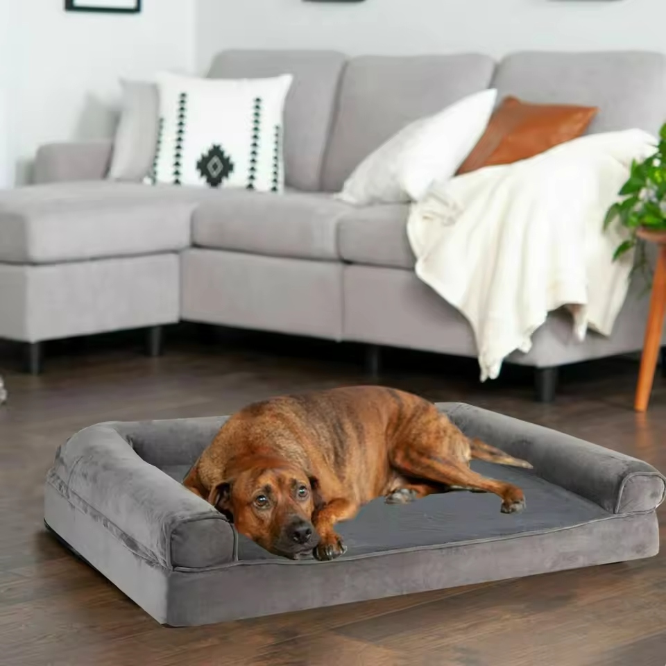 An orthopedic dog bed is a specially designed bed.