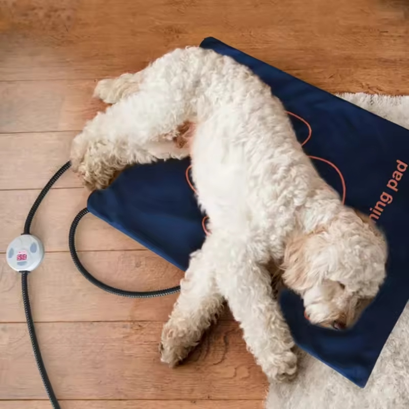 Heated dog beds provide valuable benefits for pets, promoting their health, comfort, and overall well-being.